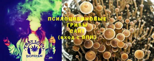 a pvp Кодинск