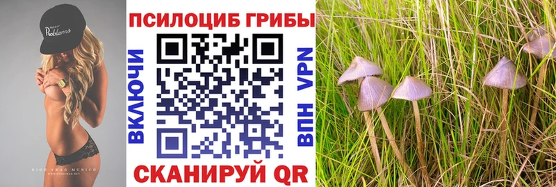 Купить  Верхняя Пышма  Галлюциногенные грибы MAGIC MUSHROOMS 